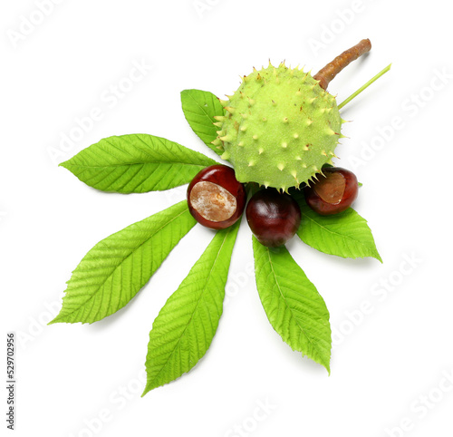 Chestnuts with leaf on white background