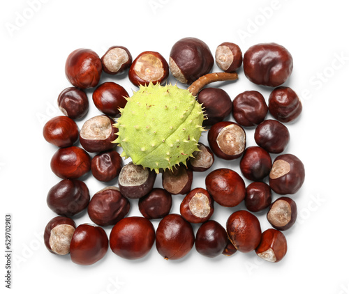 Fresh chestnuts on white background