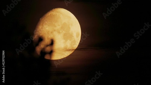 HD Timelapse Close-up Yellow Moon. Moonrise In Dark Night Sky Natural Background. Clear Starless Night. Movement Of Moon Across Sky. Satellite In Night Sky. Copyspace. Time-lapse. Timelapse.