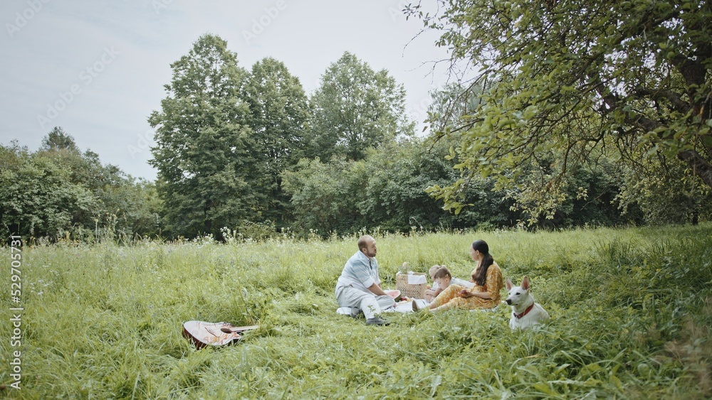 A family with two young children relax on a picnic in a summer green park. A day off spent with the family, a happy wife with her husband and children in the park. A family with two young children relax on a picnic in a summer green park. A day off spent with the family, a happy wife with her husband and children in the park.