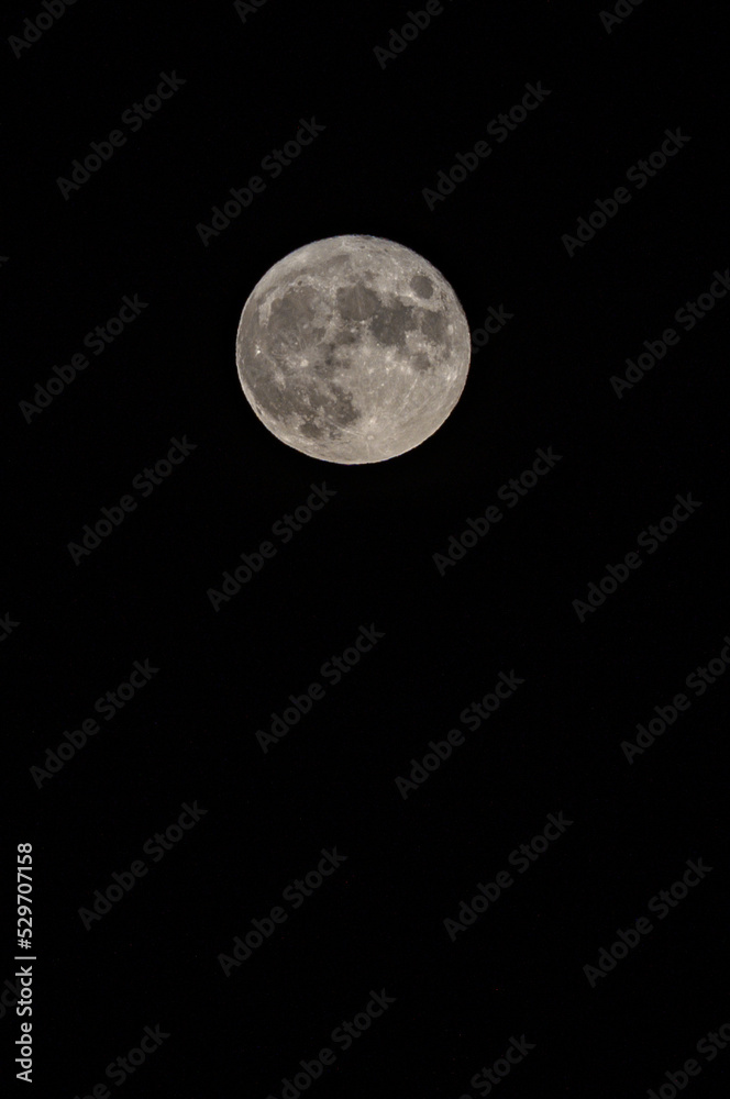 Full moon. Earth's natural satellite. Vertical image. Full moon. Earth's natural satellite. Vertical image.
