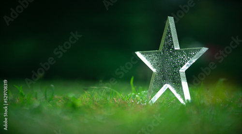 Championship cup in the form of a glass star. The winner's prize is in dewdrops on the green grass. Awarding the team.