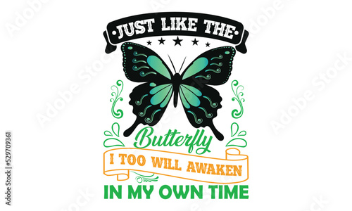 Butterfly t-shirt design vector template photo