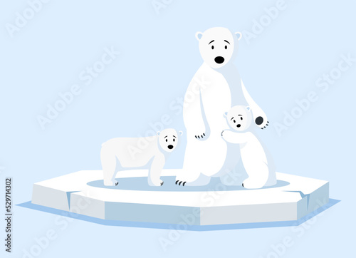 Polar white bear family floating on water on broken ice floe. Wild animal living in antarctica. Large mammal with white fur from north. Melting glacier, climate change and global warming concept