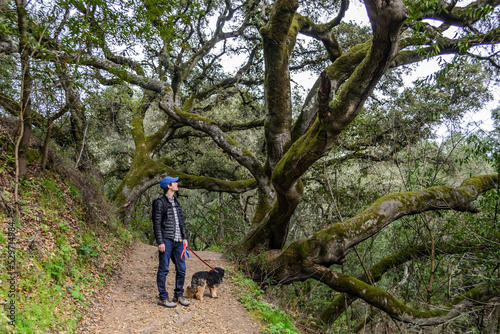 Man walking a dog through a forest in Oakland, California. High quality photo