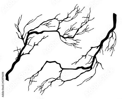 Dry branches. A set of two black silhouettes of old branches. Vector illustration isolated on white background.