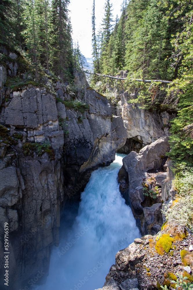 Fototapeta premium Saskatchewan Glacier, AB, Canada