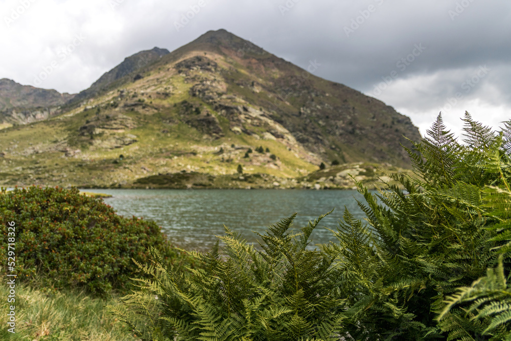 mountain lake view of  ferns at Estany del Mig in Andorra