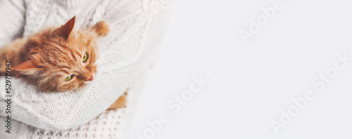 Woman in white cable-knit sweater holds ginger cat on hands. Fluffy pet with displeased face expression. Light banner with copy space. photo