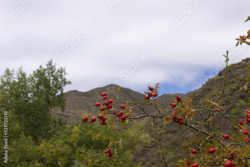 Beautiful scenery with mountains on a cloudy day.