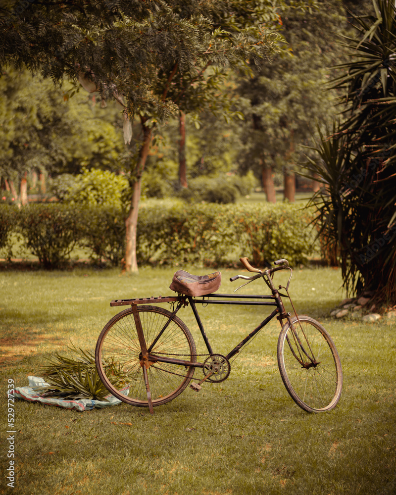 Fototapeta premium bicycles in the park