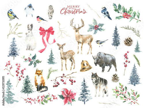 Merry Christmas watercolor animal illustration set. Deer, fawn, stag, buffalo, wolf, fox, birds, bunny, Christmas tree, spruse,pine, Winter forest flora for greeting cards, postcard, invitation, flyer
