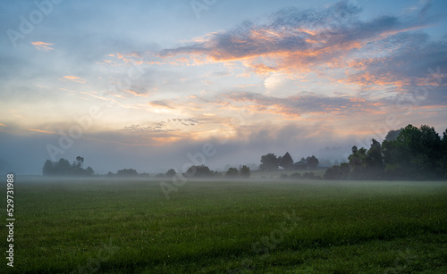 Foggy sunrise on farm