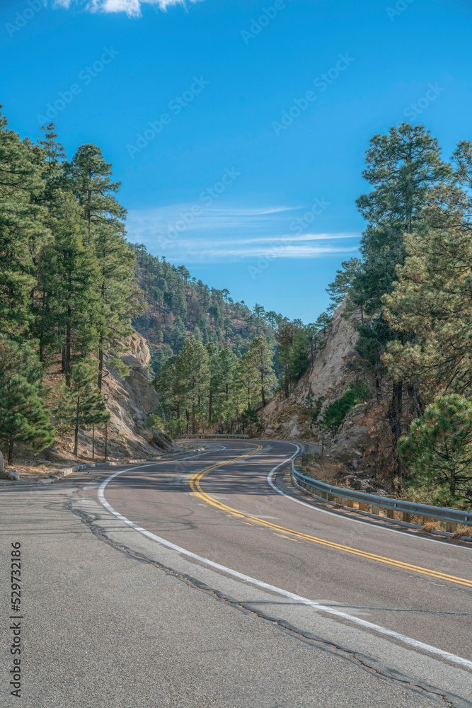 Mount Lemmon, Arizona- Curved road in between rocky mountain slope and tall trees