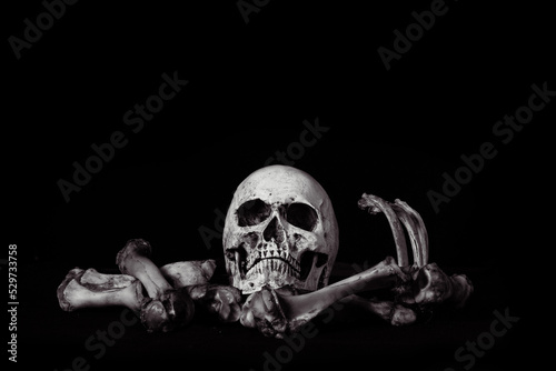 Awesome The skull  on pile of bone on black background, concept of scary crime scene of horror or thriller movies,Halloween theme, Still Life style, selective focus,