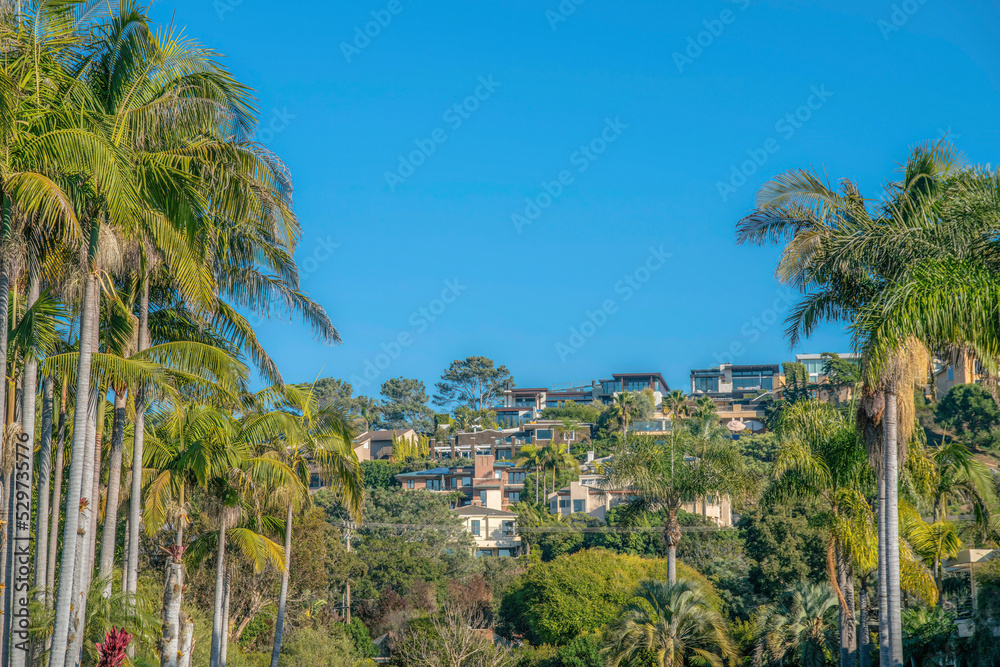La Jolla, California- View of a residential area on a slope from an area below with palm trees