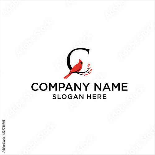 Latter C Cardinal Bird Vector Logo Template