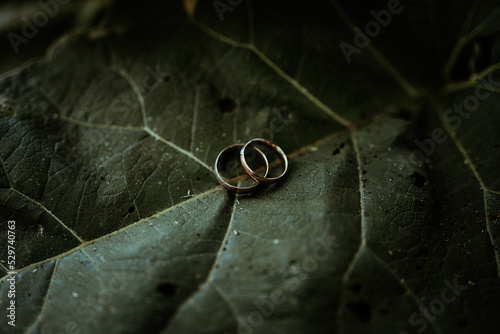 wedding rings on a leaf photo