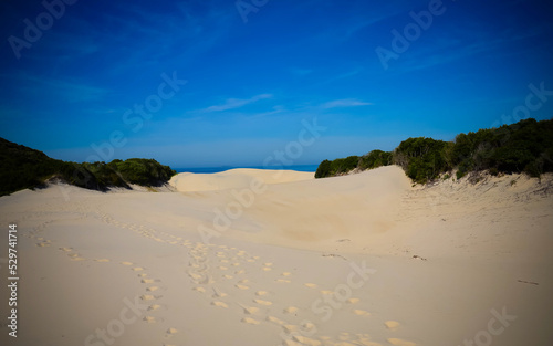 beautiful landscape of beach, trail and sand dunes