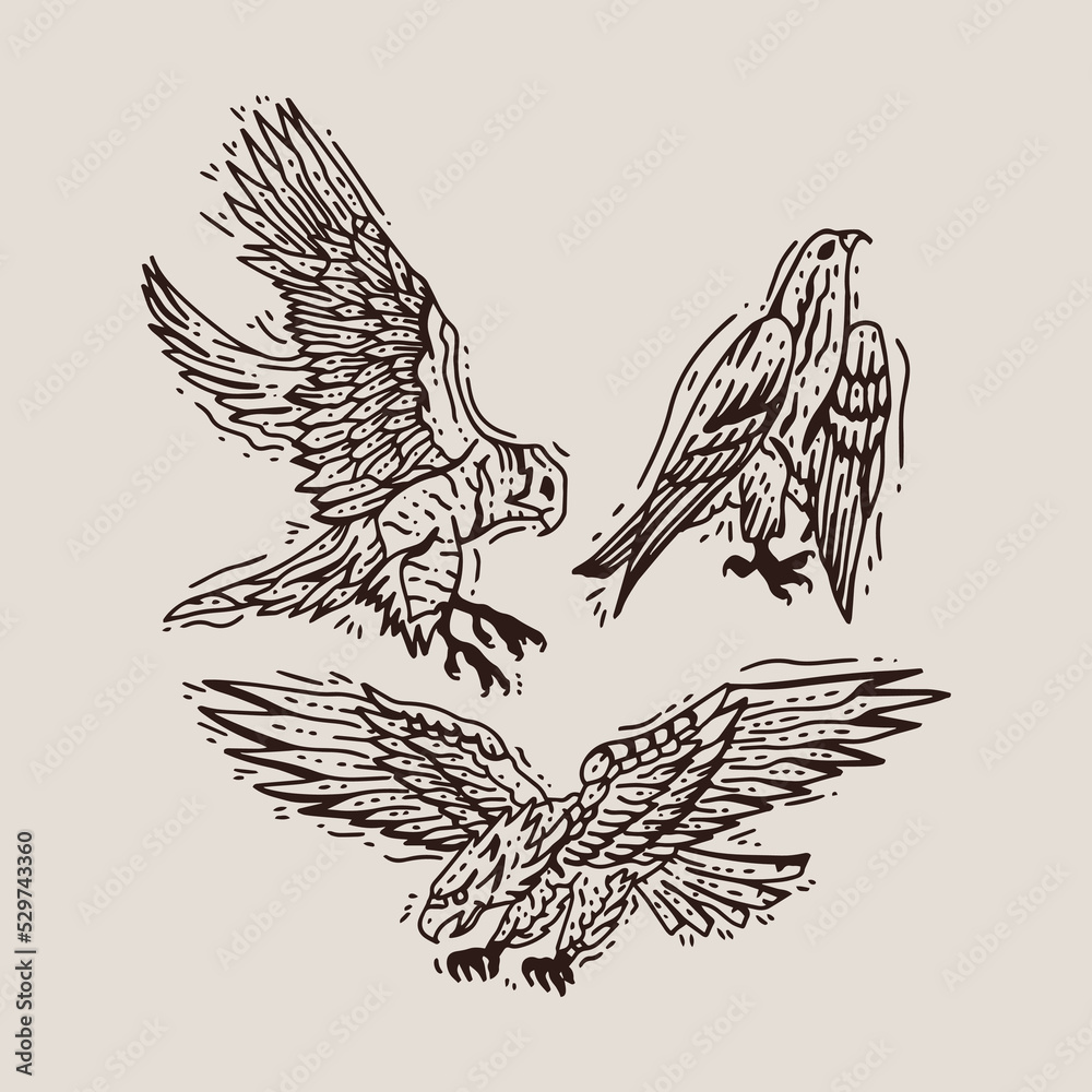 Obraz premium Set of eagles and birds illustration