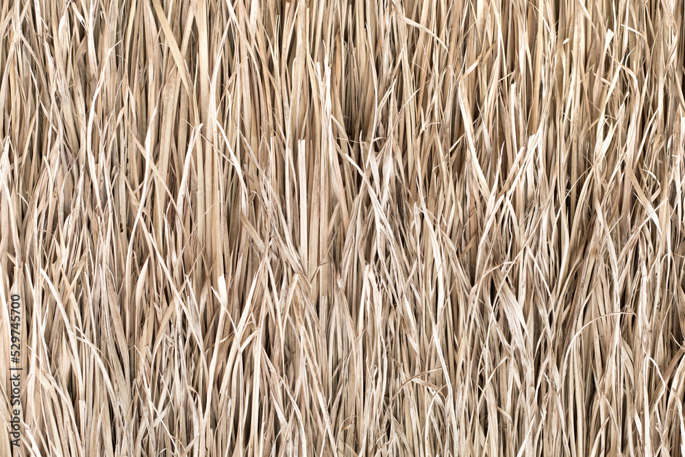 Straw texture. Tropic roof summer background. Straw texture. Tropic roof summer background.
