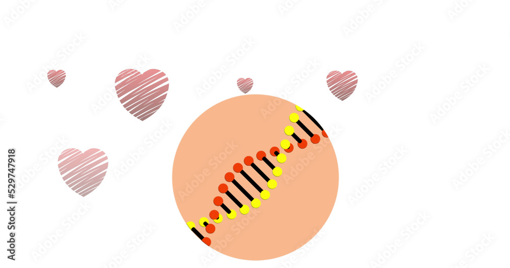 Digital image of dna structure spinning against multiple red hearts against white background