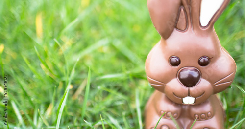 Image of chocolate easter bunny on grass background