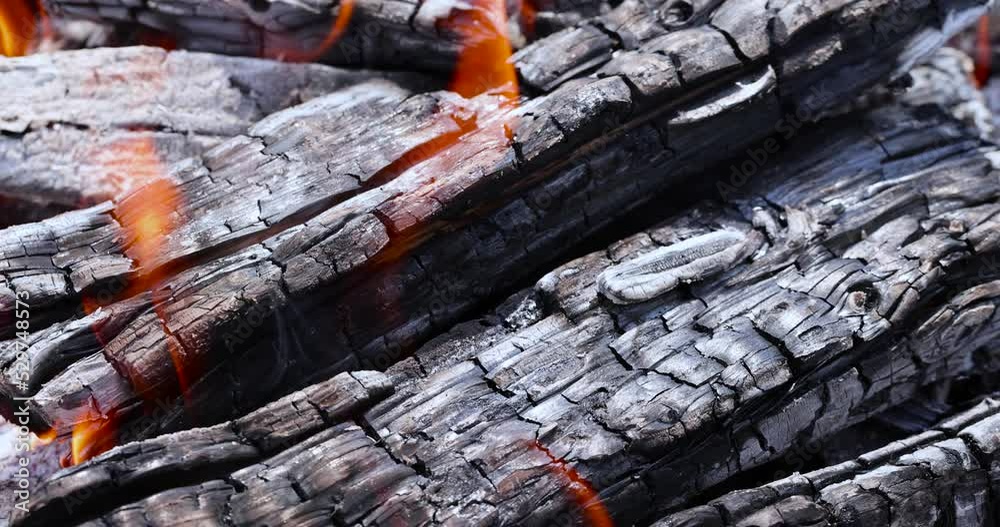Burning logs in a campfire while cooking and warming, logs from trees burning in the flames of a fire at a picnic Burning logs in a campfire while cooking and warming, logs from trees burning in the flames of a fire at a picnic
