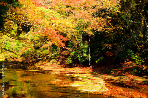 粟又の滝付近 千葉県夷隅郡大多喜町 © Shouichi