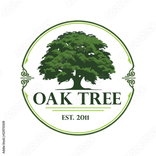 oak tree illustration for logo 