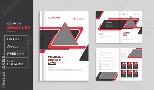 Corporate brochure and company profile annual report cover design template set  photo