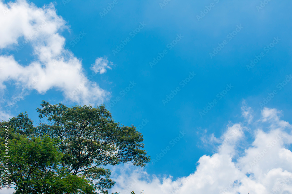 clouds over the sky clouds over the sky