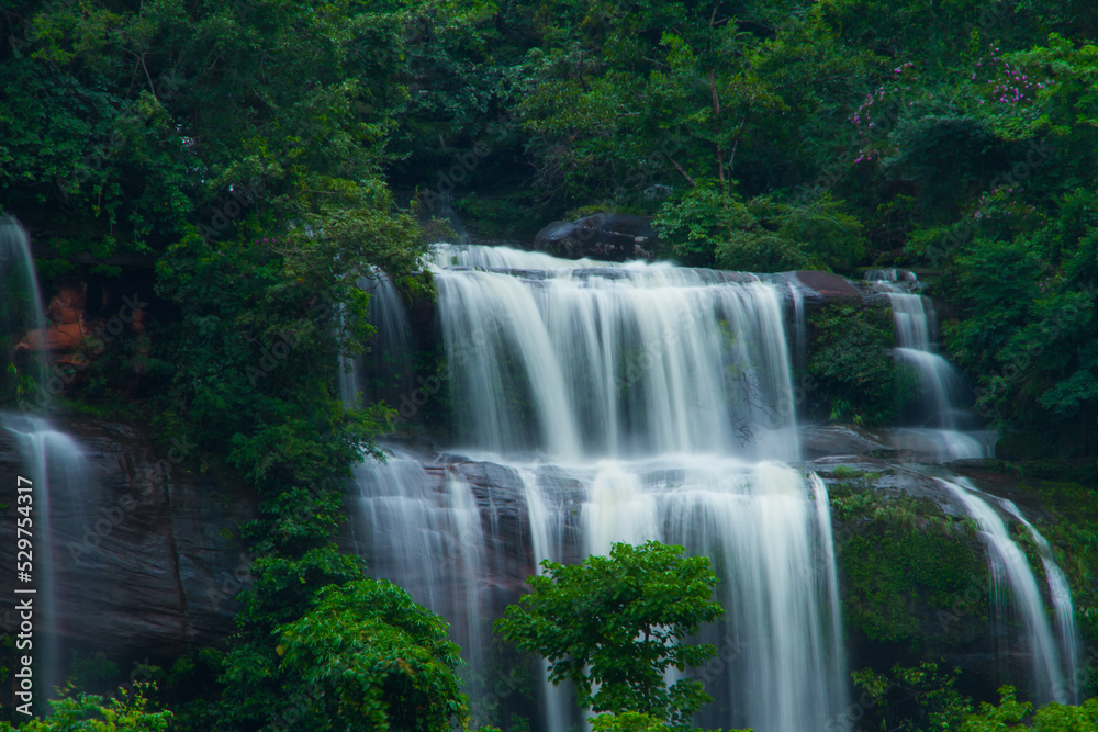 waterfall in the forest