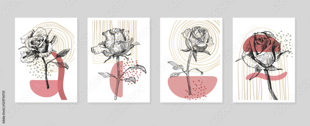 Set of Abstract Roses Hand Painted Illustrations for Wall Decoration, minimalist flower in sketch style. Postcard, Social Media Banner, Brochure Cover Design Background. Modern Abstract Painting.