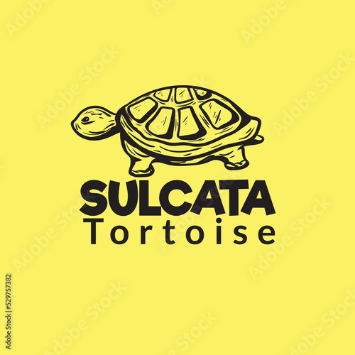 Sulcate tortoise logo template. illustration of tortoise. good for conservation symbol. 