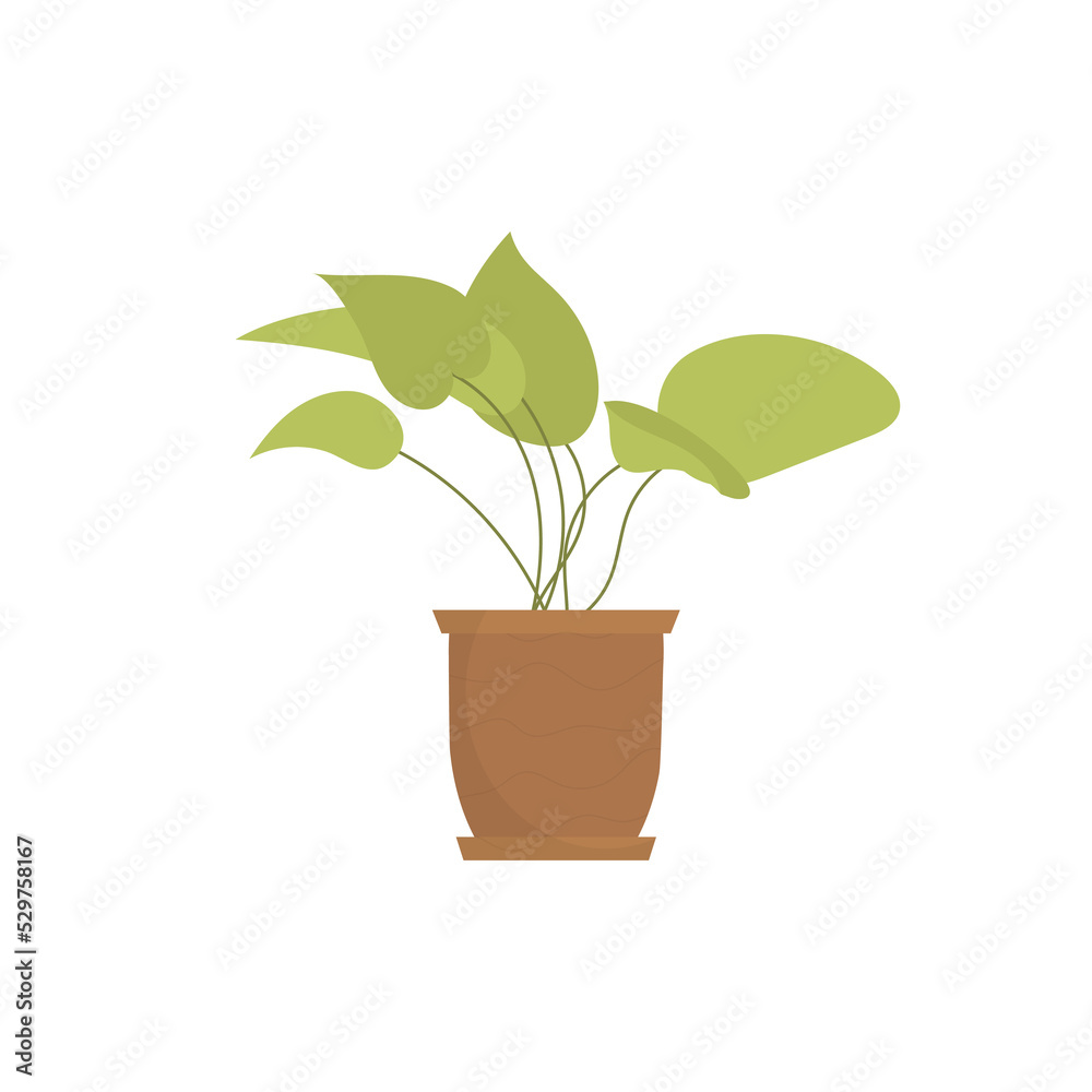 Fototapeta premium Indoor plant. Flat style.