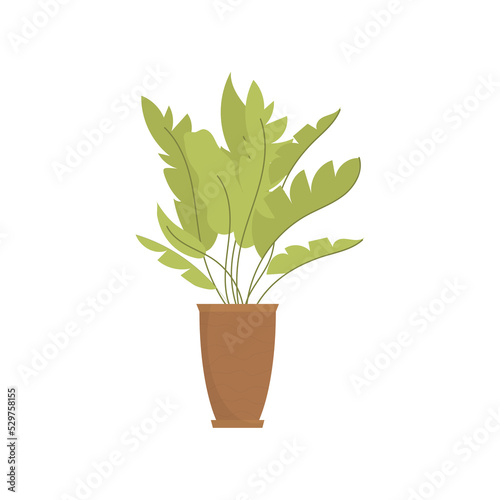 Houseplant in a brown pot. Flat style.