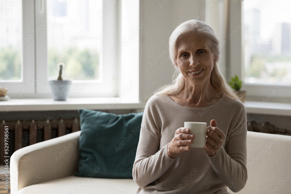 Happy elderly lady drinking hot tea at home, enjoying good morning coffee, sitting on comfortable couch in living room, holding ceramic mug, cup warm beverage, smiling. Head shot portrait Happy elderly lady drinking hot tea at home, enjoying good morning coffee, sitting on comfortable couch in living room, holding ceramic mug, cup warm beverage, smiling. Head shot portrait