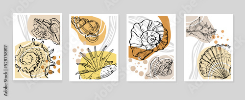 Set of Abstract Shells Hand Painted Illustrations for Wall Decoration, minimalist shell in sketch style. Postcard, Social Media Banner, Brochure Cover Design Background. Modern Abstract Painting.