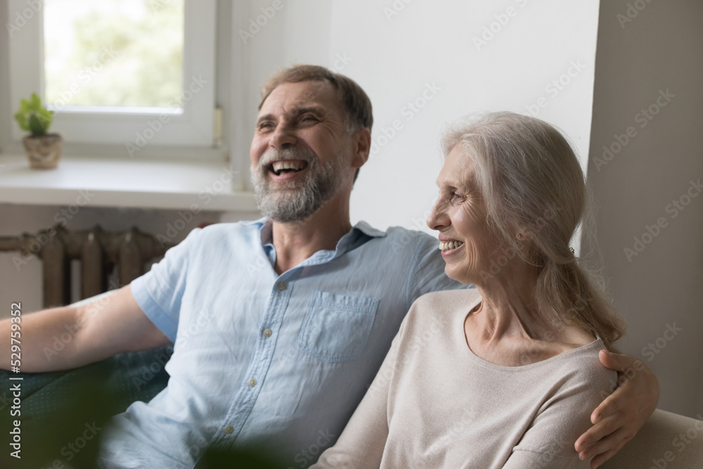 Cheerful loving retired mature couple enjoying leisure, dating at home, relaxing, hugging on couch, talking, chatting, laughing. Elderly age relationship, marriage, retirement