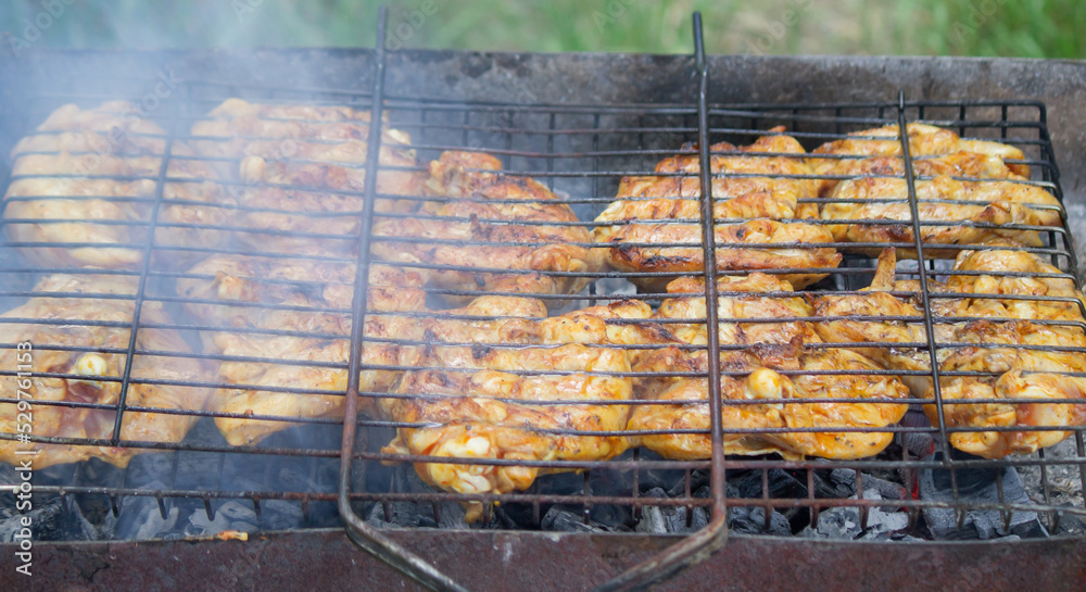 fry chicken skewers on the grill. Picnic in nature.