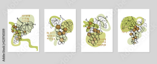 Set of Abstract grape Hand Painted Illustrations for Wall Decoration, minimalist shell in sketch style. Postcard, Social Media Banner, Brochure Cover Design Background. Modern Abstract Painting.
