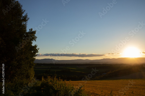 夕日に輝く丘の畑 