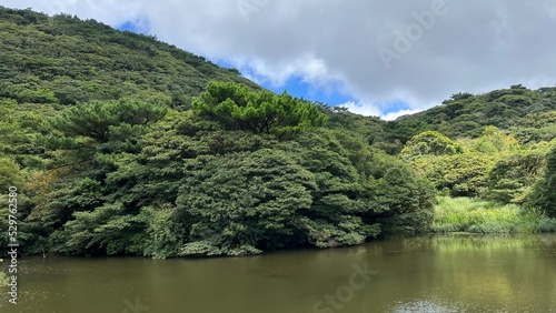 自然豊かな山