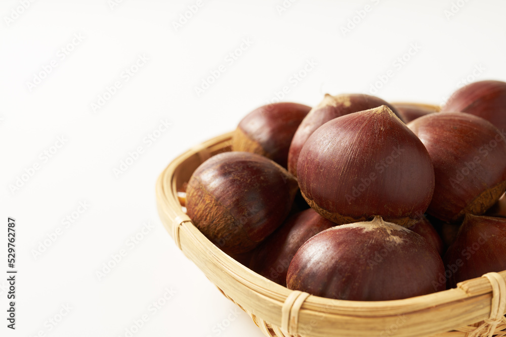 栗を白背景で