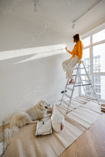 Woman paints the wall in white color, stands on ladder while making repairment with her dog in newly purchased apartment