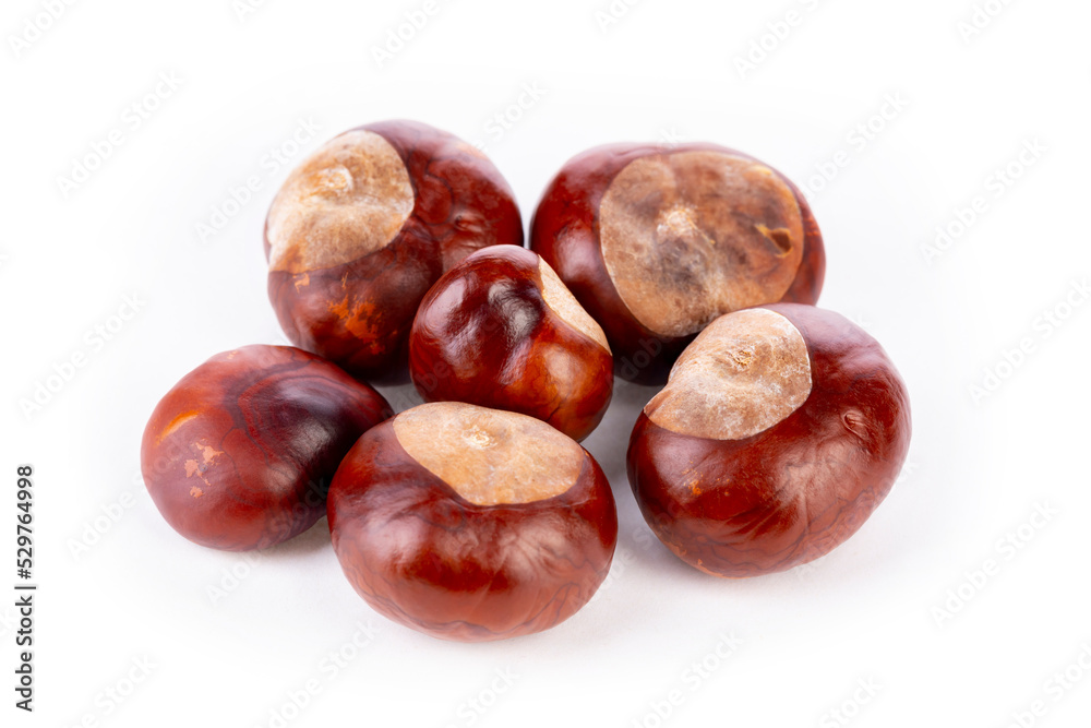 Bunch of horse chestnuts isolated on white Bunch of horse chestnuts isolated on white