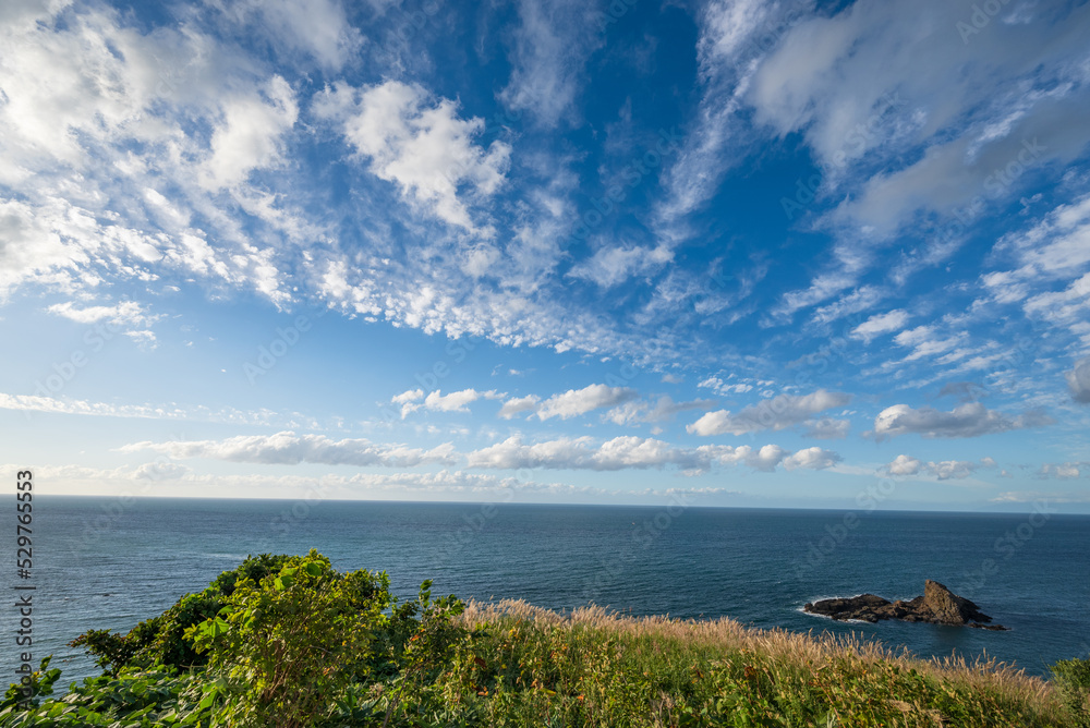 小樽祝津パノラマ展望台から青い海に浮かぶトド岩