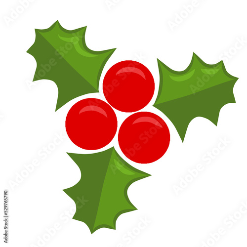 mistletoe branch is a hand-drawn Christmas symbol