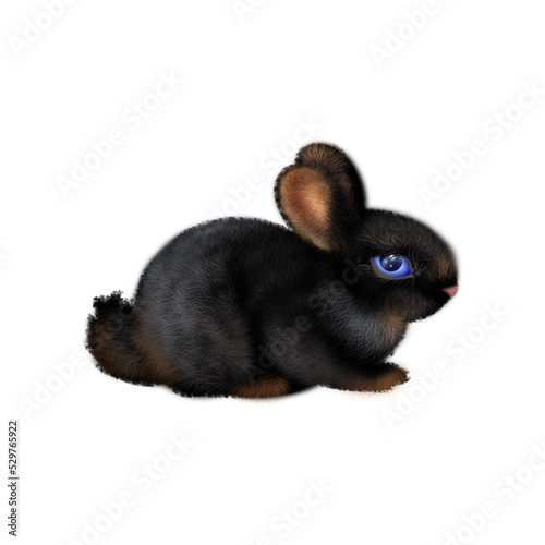 Black rabbit, isolated image, symbol of the year 2023.